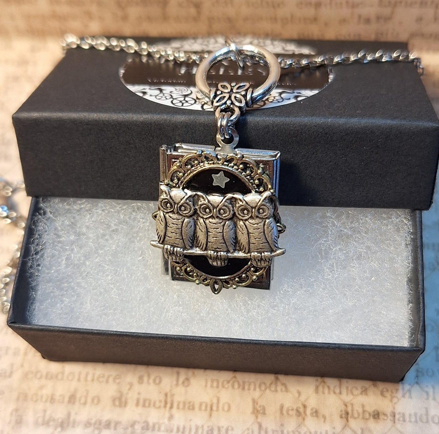 Ornate Owl Book Locket Necklace