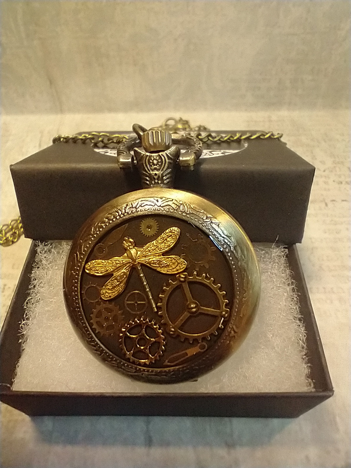 Working Clockwork Dragonfly with Gears Pocket Watch Necklace