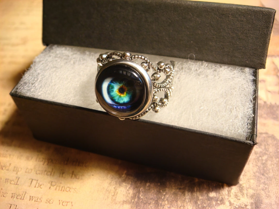 Eye Image Filigree Ring in Antique Silver - Adjustable