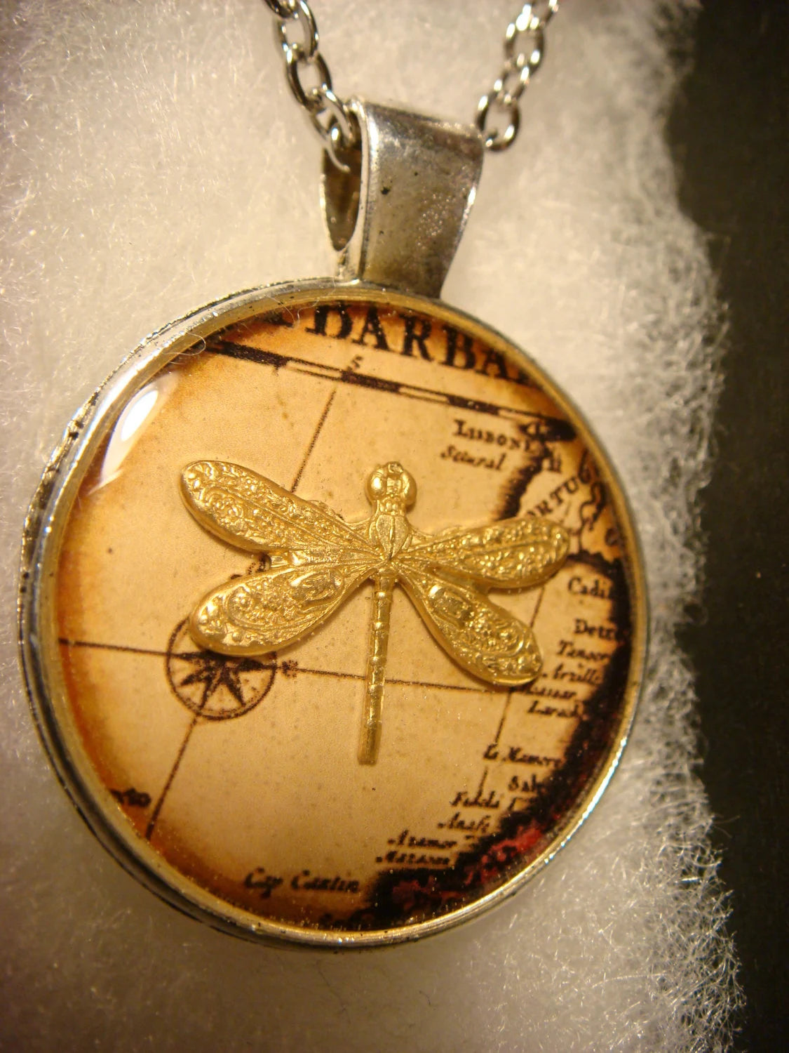 Dragonfly over Map Small Pendant Necklace