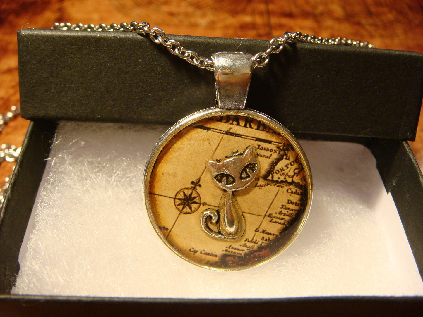 Cat over Map Pendant Necklace