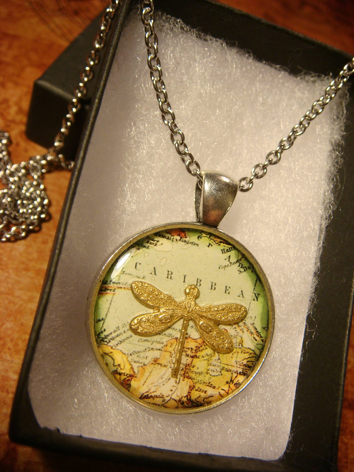 Dragonfly over Map Pendant Necklace