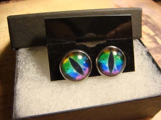 Colorful Eye Image Stainless Steel Stud Earrings