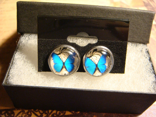 Blue Butterfly Image Stainless Steel Stud Earrings