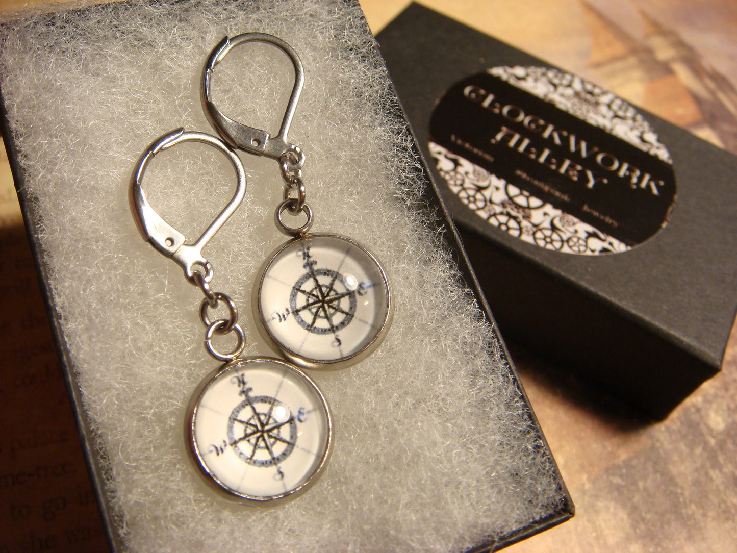 Compass Image Stainless Steel Dangle Earrings