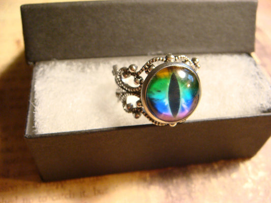 Colorful Eye Image Filigree Ring in Antique Silver - Adjustable