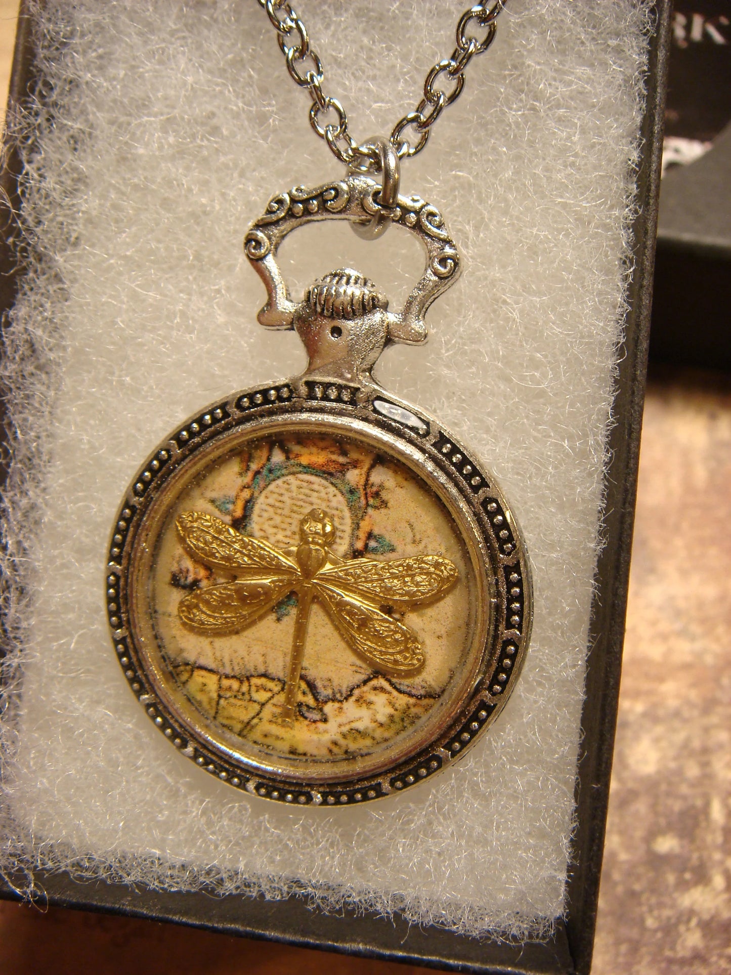 Dragonfly over Map Pocket Watch Pendant Necklace