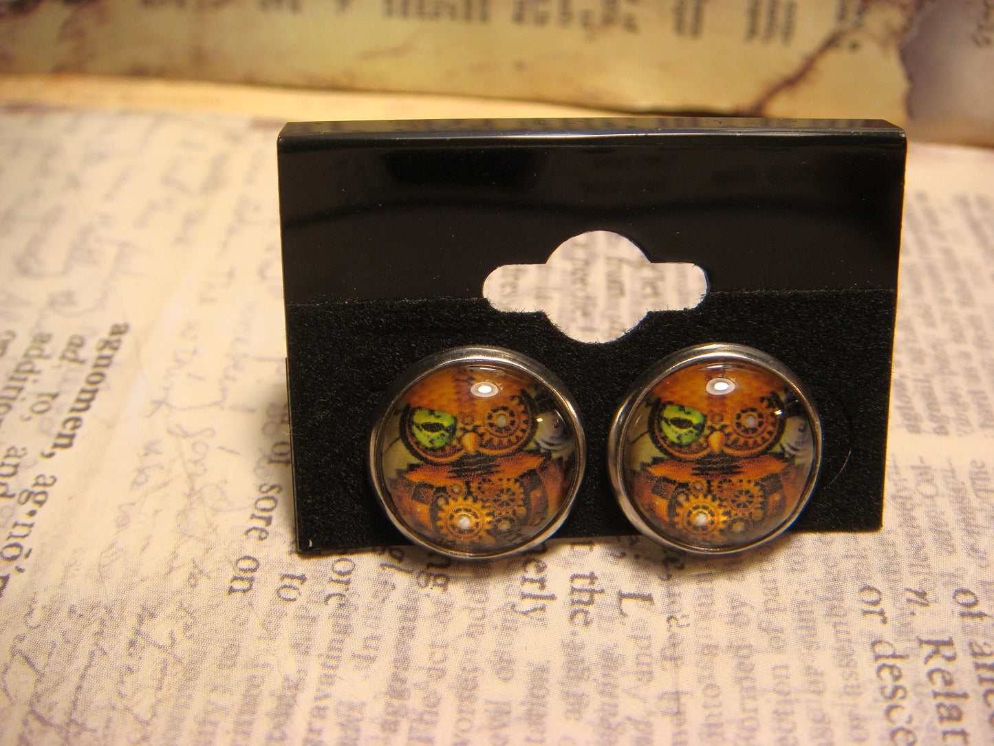 Steampunk Owl Image Stainless Steel Stud Earrings