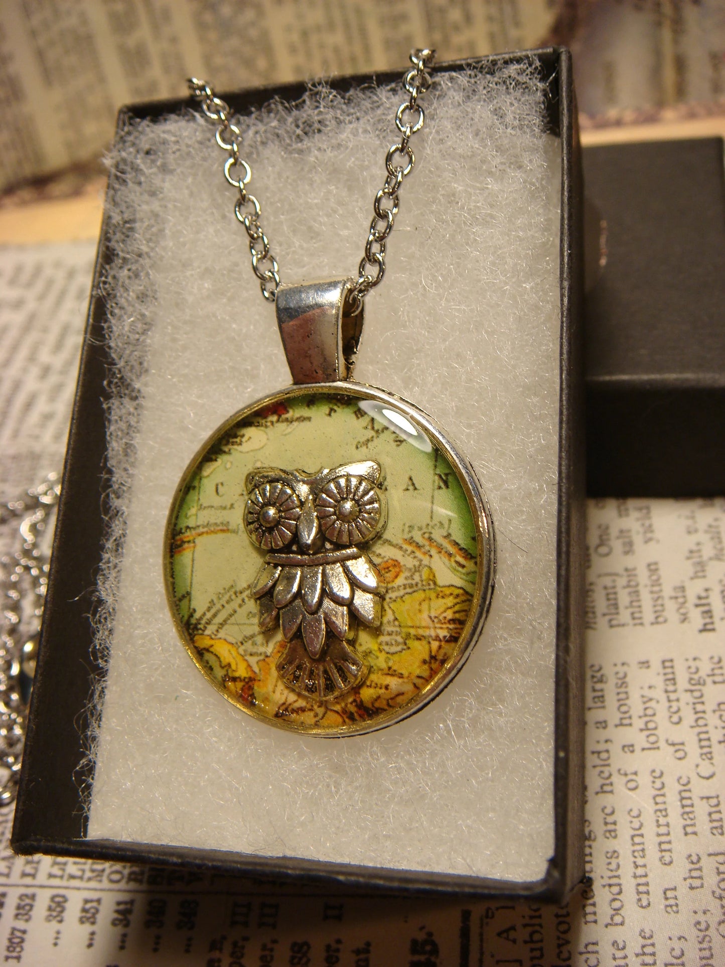 Owl over Map Pendant Necklace