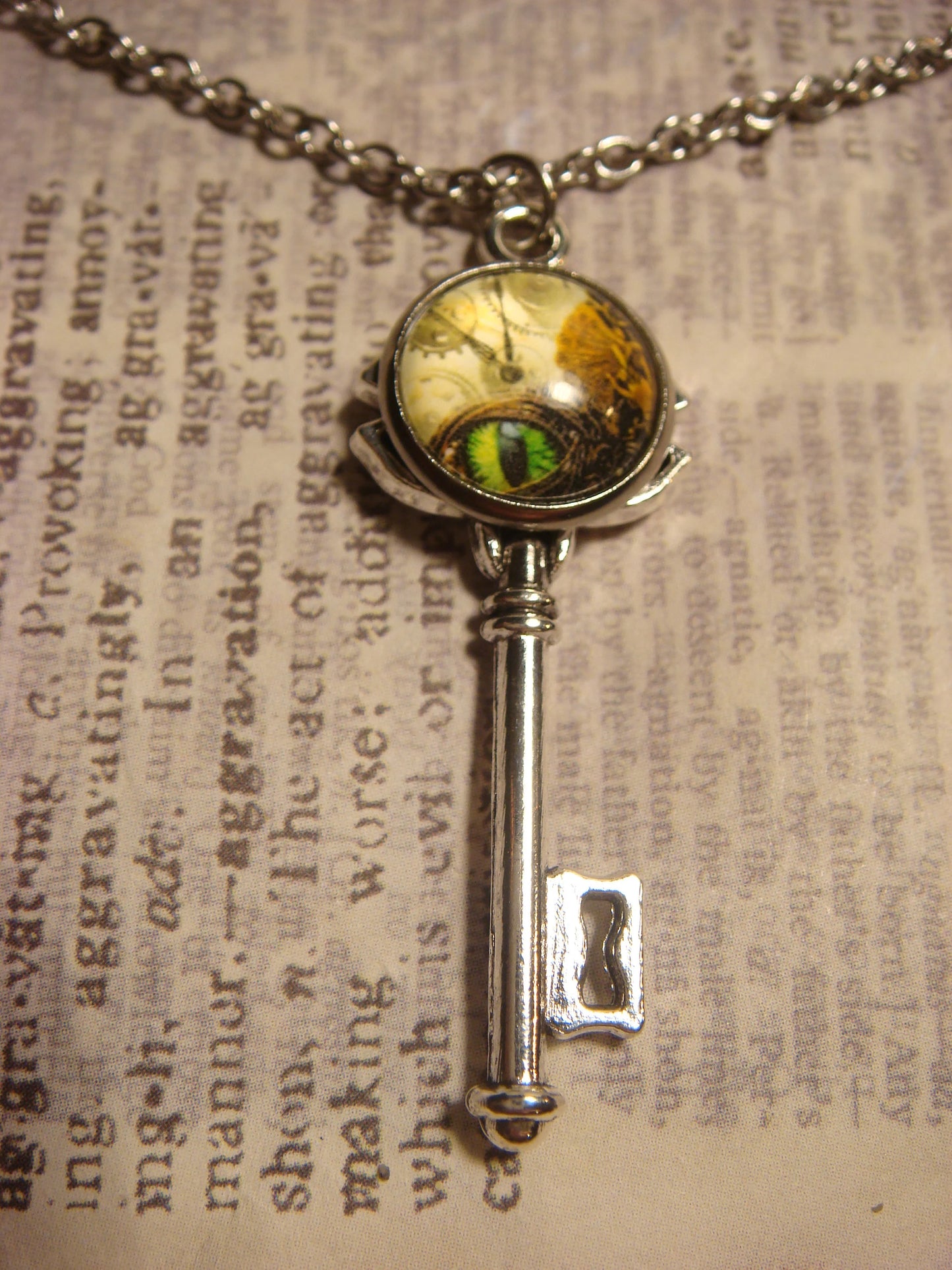 Steampunk Eye Image Key Necklace