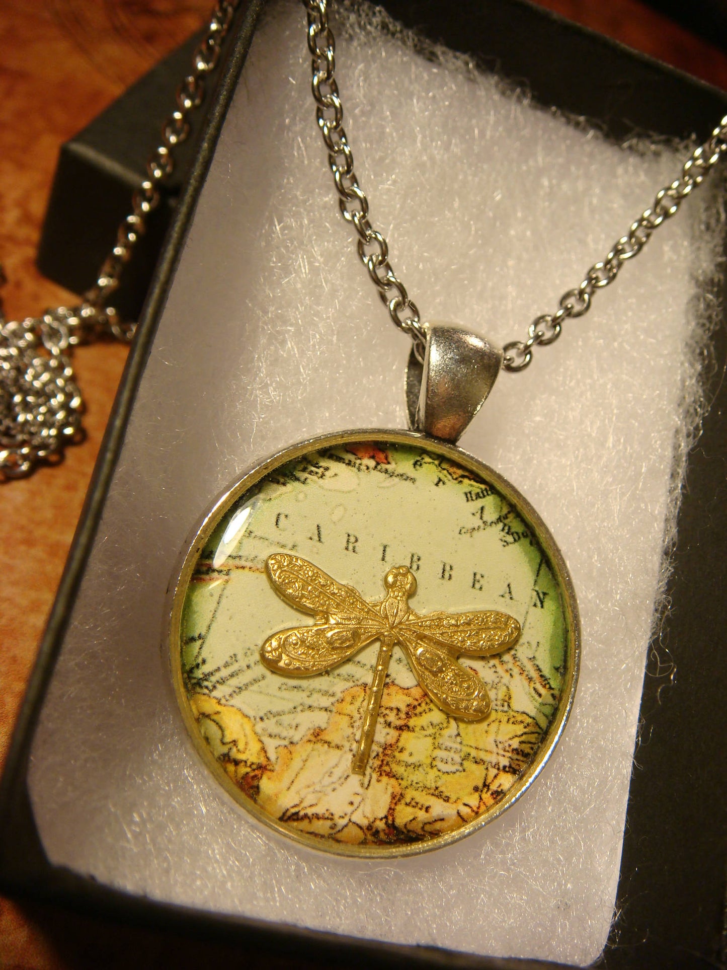Dragonfly over Map Pendant Necklace