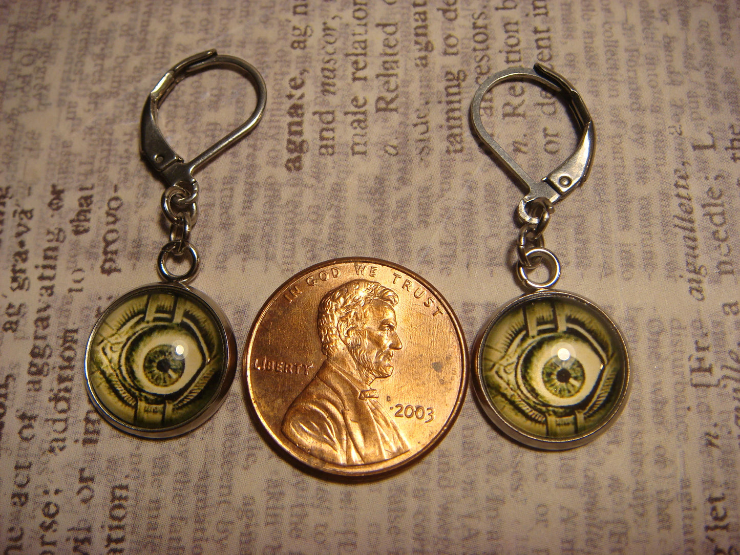 Eyeball Image Stainless Steel Dangle Earrings