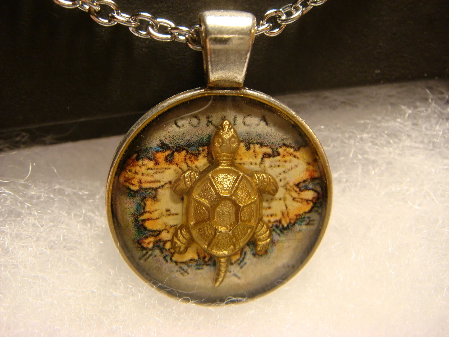 Turtle over Map Small Pendant Necklace