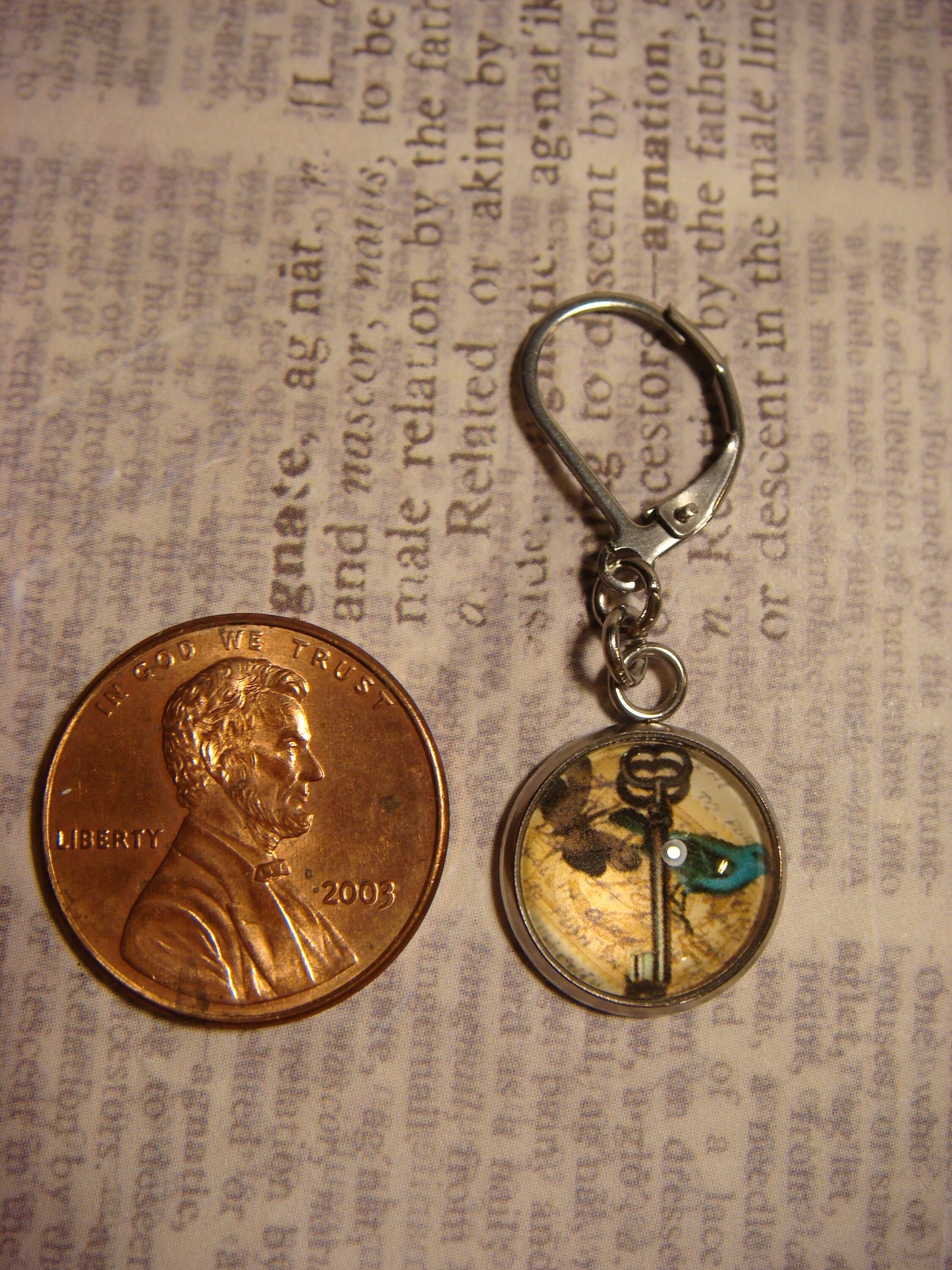 Bluebird Butterfly and Key Image Stainless Steel Dangle Earrings