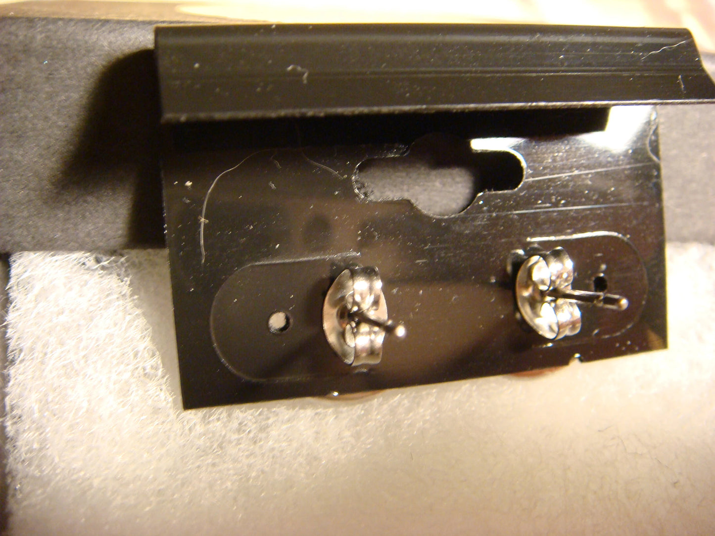 Dragon Image Stainless Steel Stud Earrings