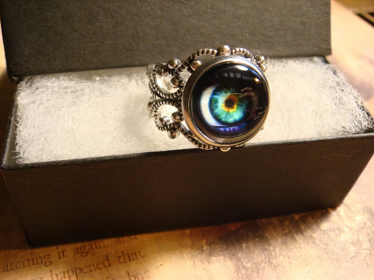 Eye Image Filigree Ring in Antique Silver - Adjustable
