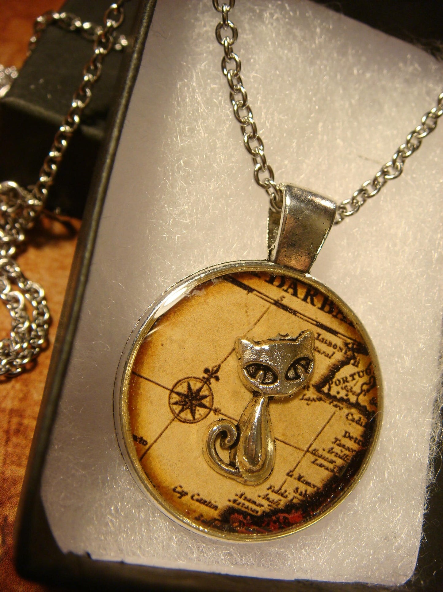 Cat over Map Pendant Necklace