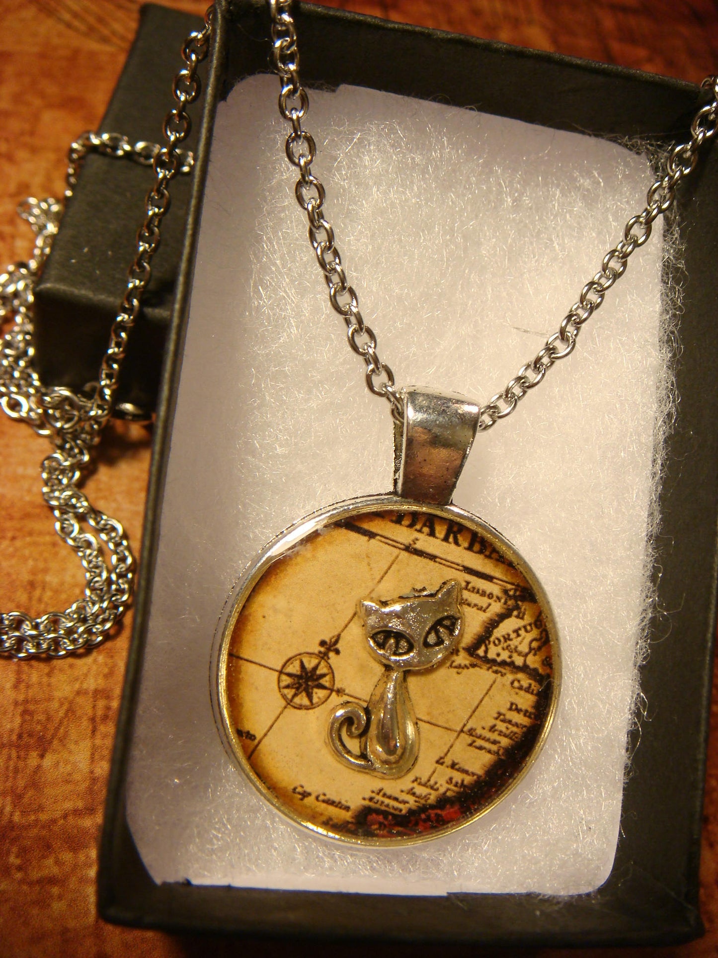 Cat over Map Pendant Necklace