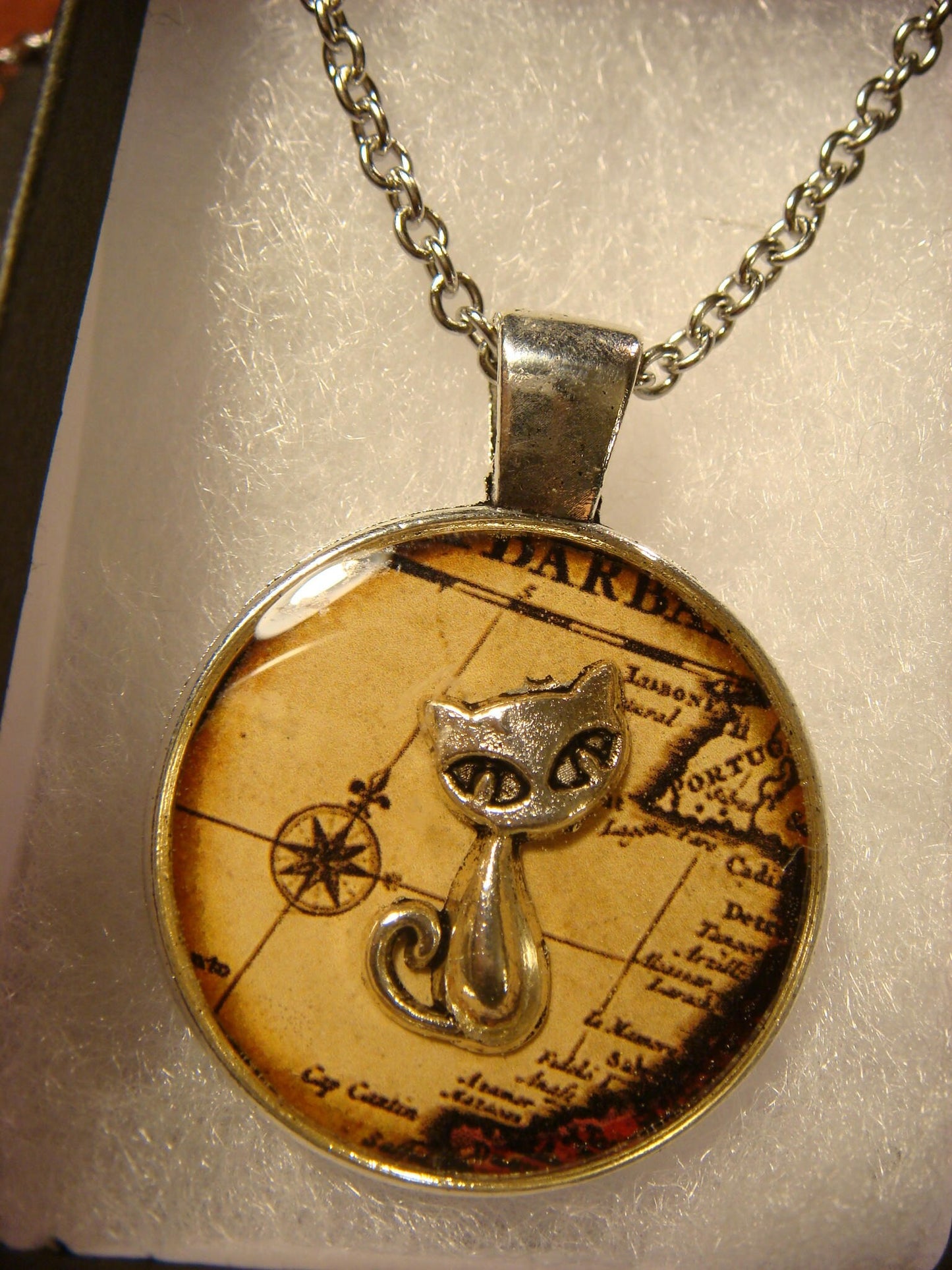 Cat over Map Pendant Necklace