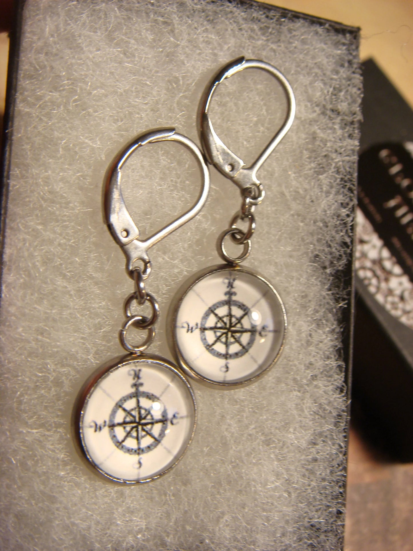 Compass Image Stainless Steel Dangle Earrings