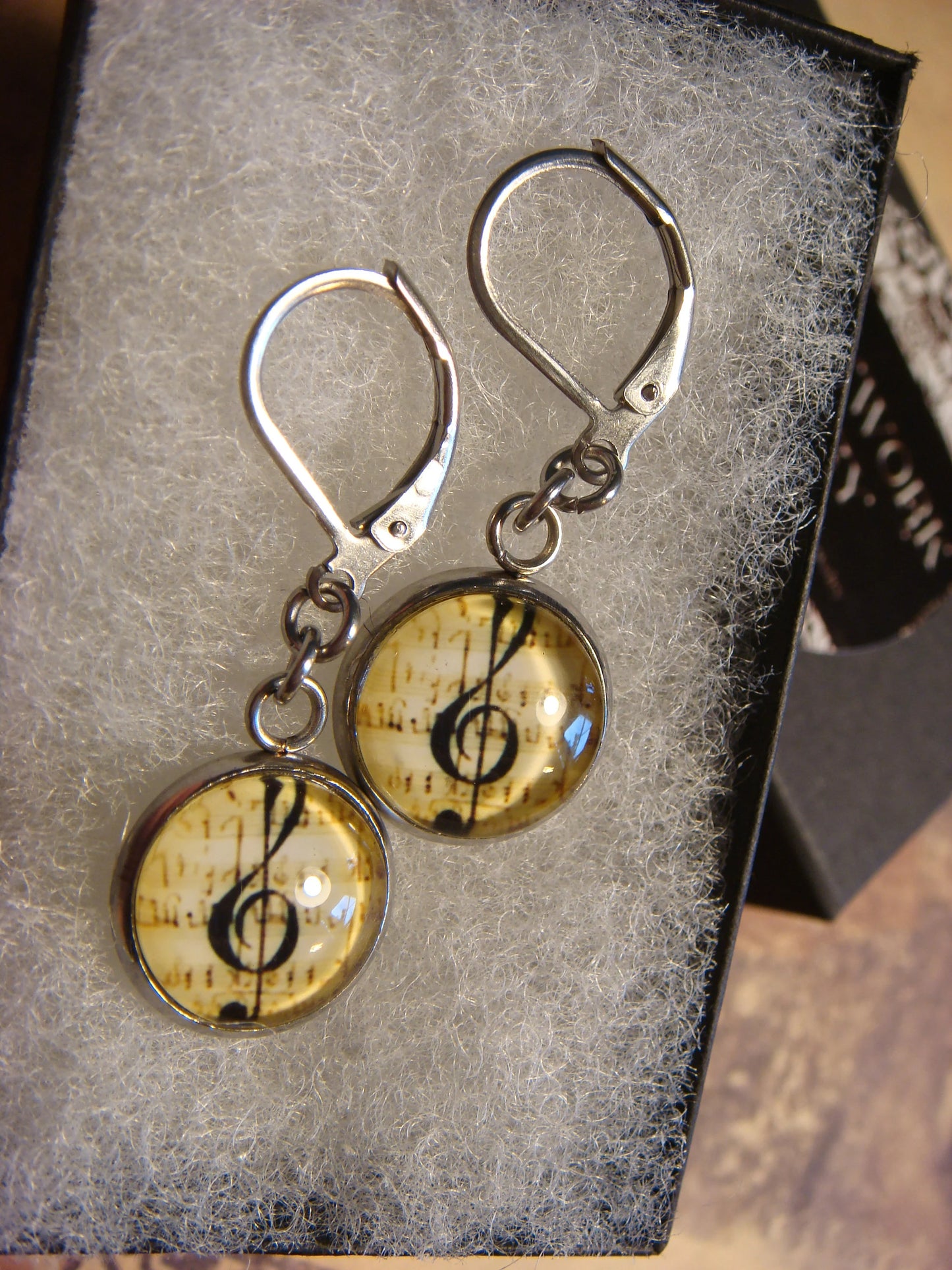 Treble Clef Image Stainless Steel Dangle Earrings