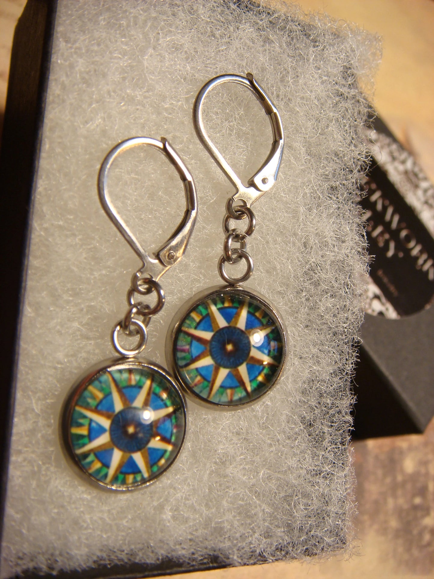 Compass Star Image Stainless Steel Dangle Earrings