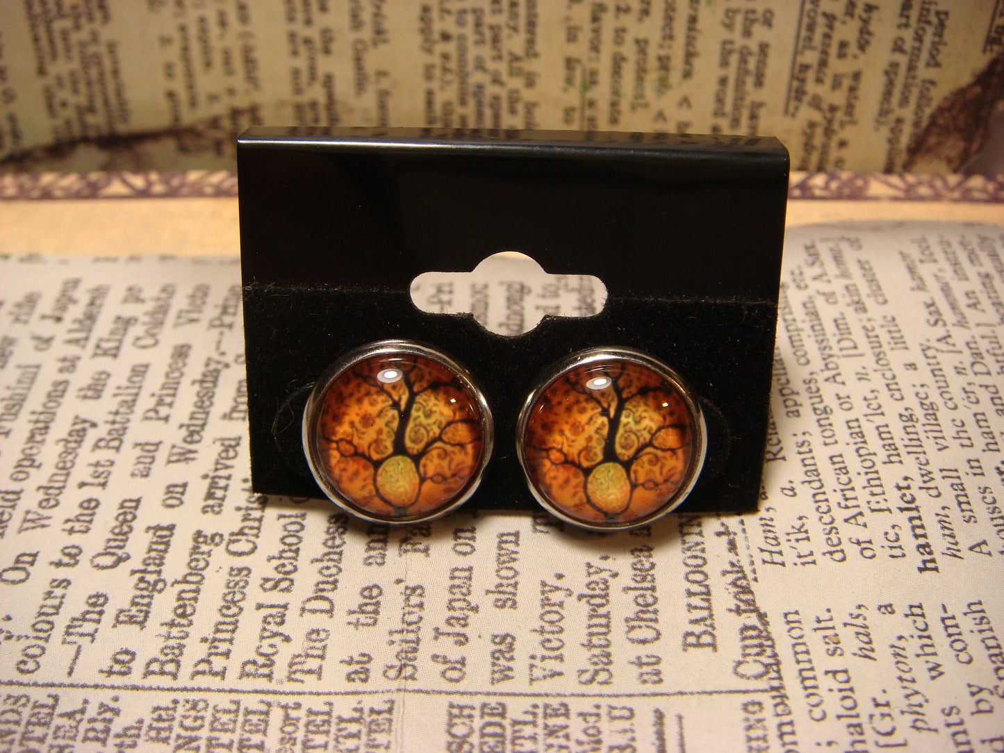 Root Image Stainless Steel Stud Earrings