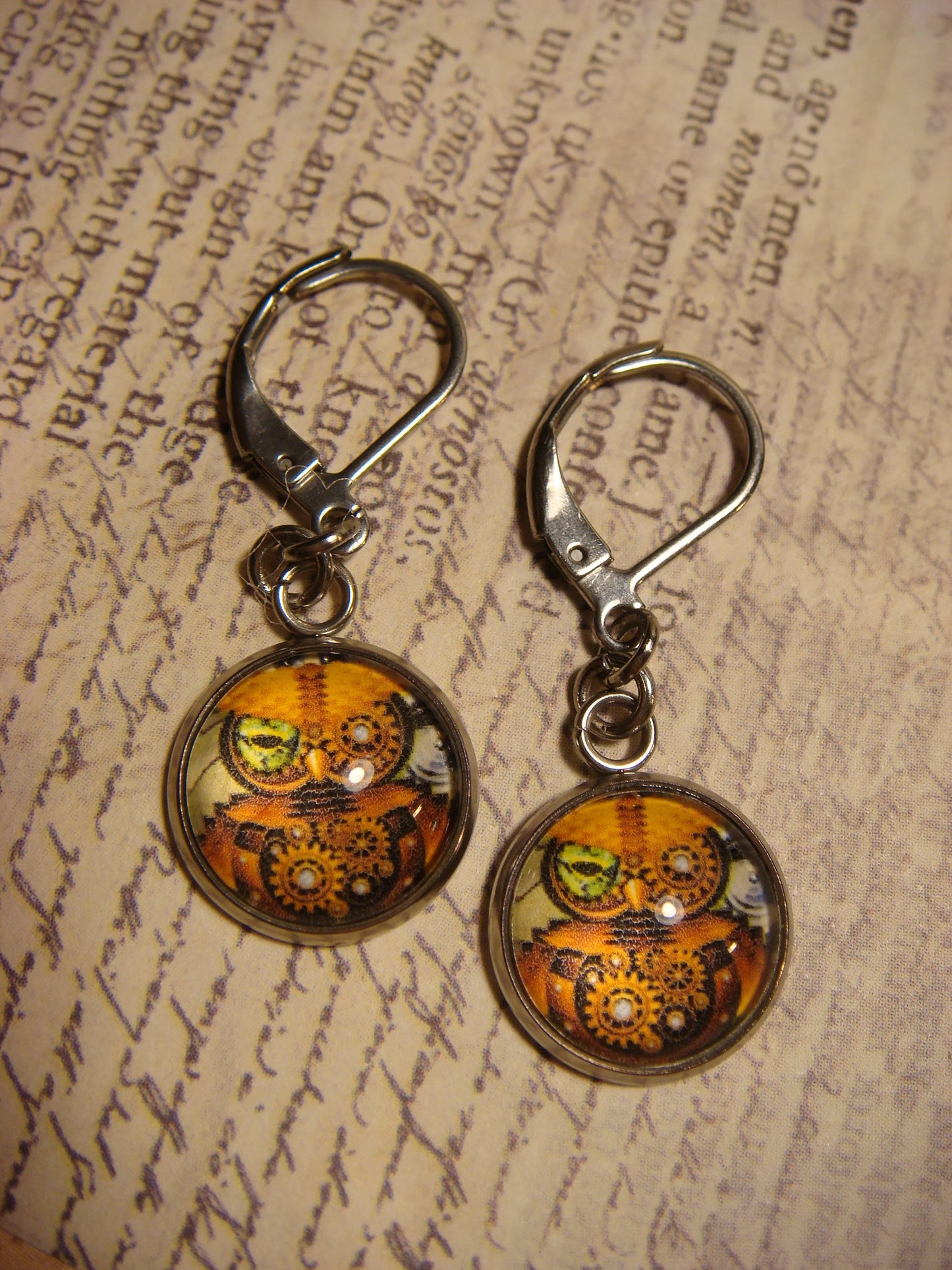 Steampunk Owl Image Stainless Steel Dangle Earrings