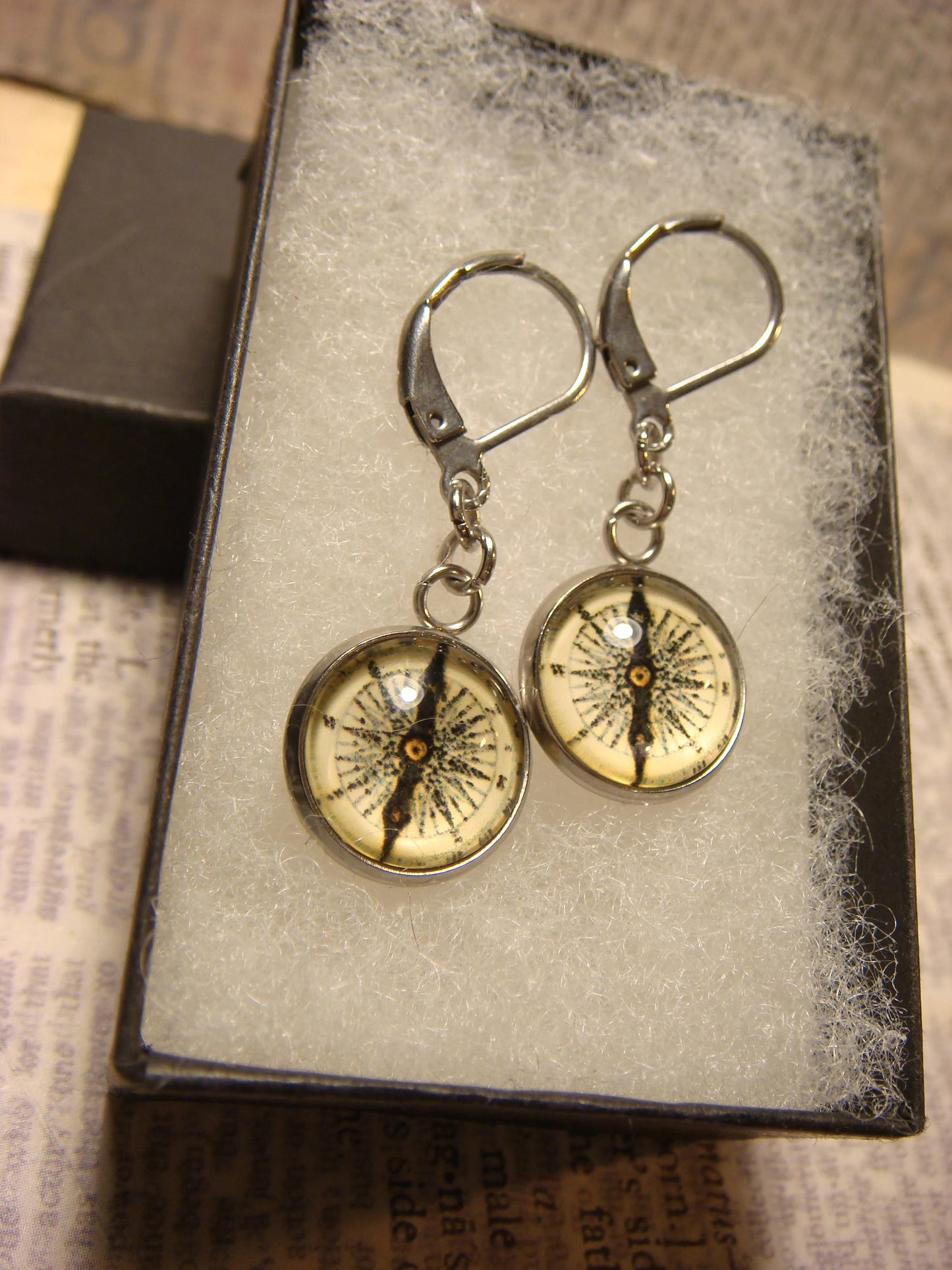 Compass Image Stainless Steel Dangle Earrings