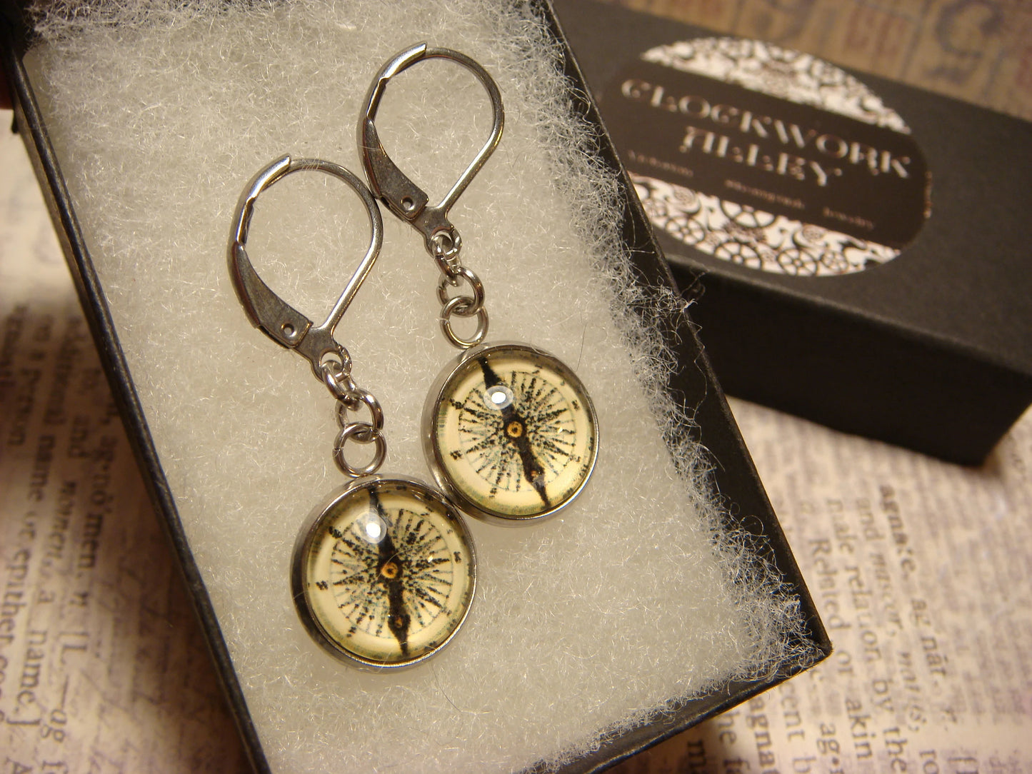 Compass Image Stainless Steel Dangle Earrings