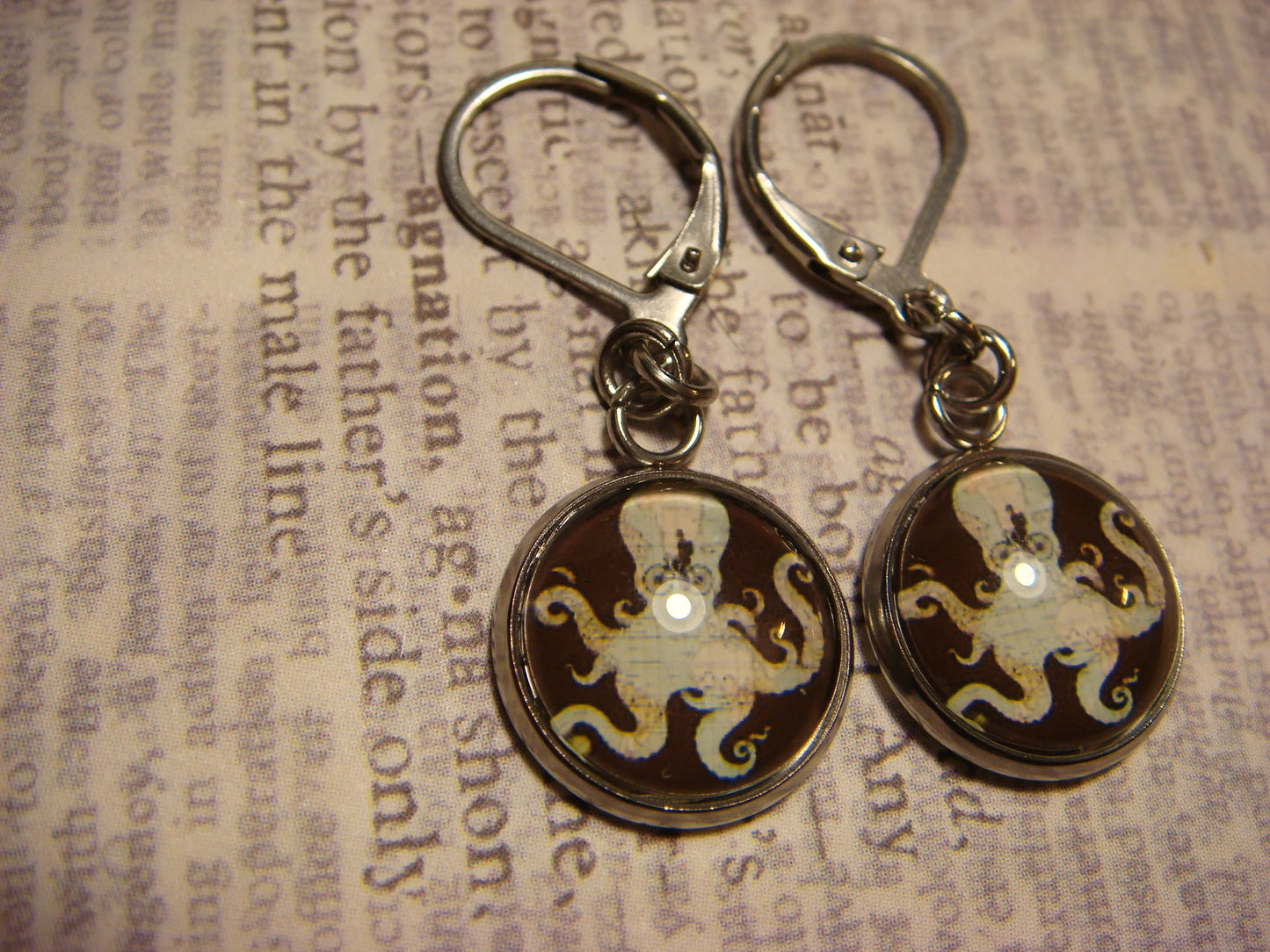 Octopus Map Image Stainless Steel Dangle Earrings