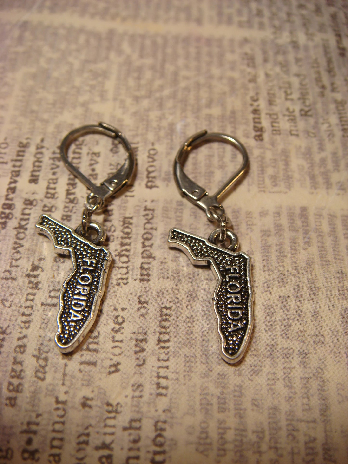 Florida Earrings in Antique Silver